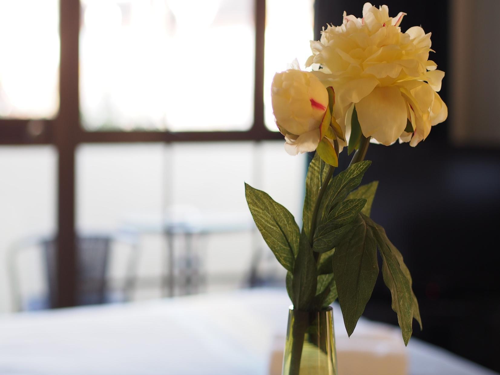 Tudor Court Motel Christchurch Bagian luar foto